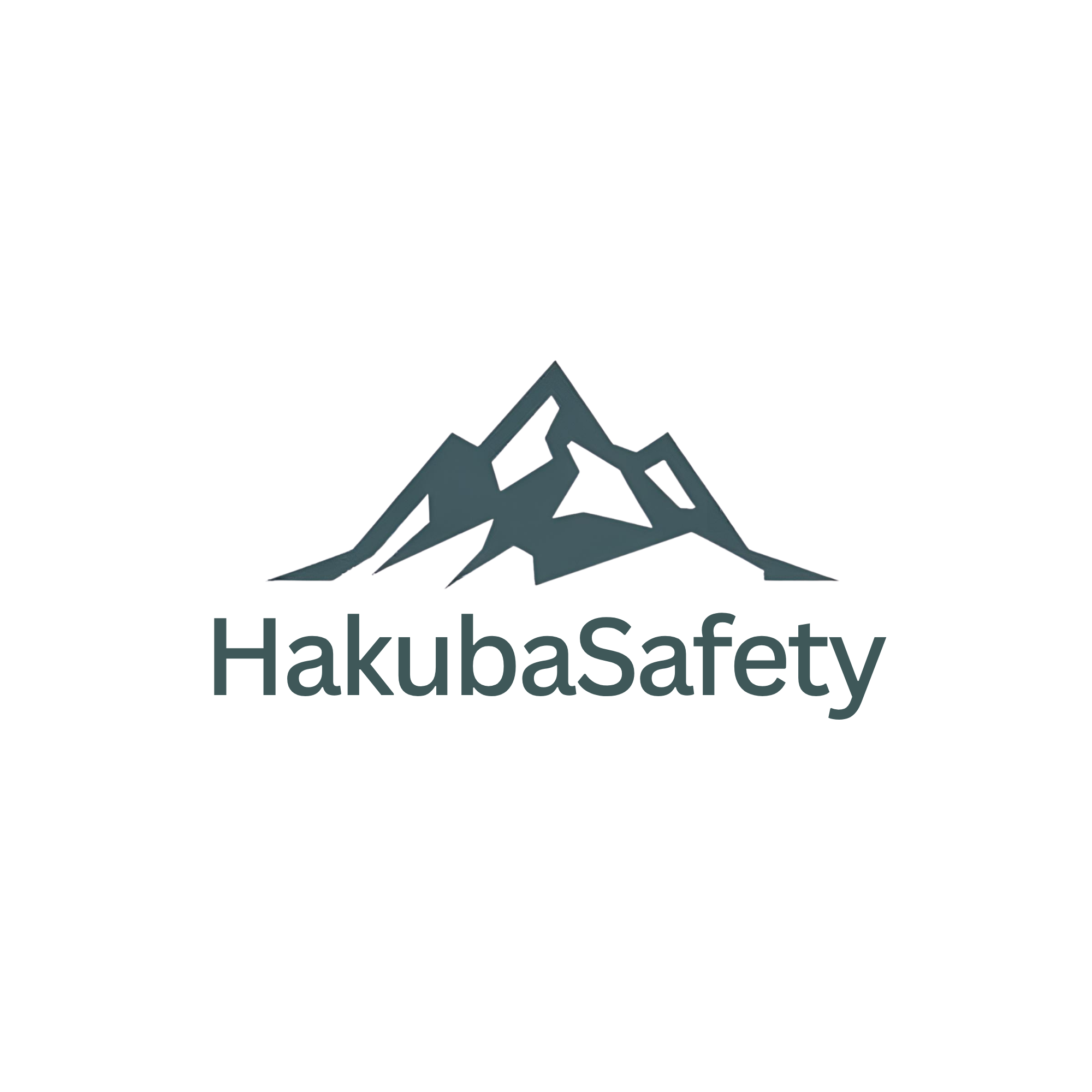 Hakubasafety.jp